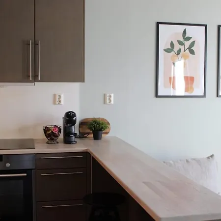 Apartment Modern, Well-equipped In Oslo With Breathtaking Views Lii