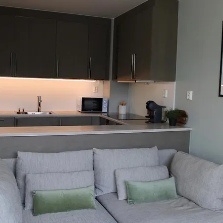 Modern, Well-equipped In Oslo With Breathtaking Views * Lii
